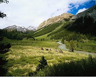 休闲生物收集冒险游戏《Robo Catcher》Steam页面 发售日待定